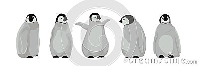 A set of realistic chic imperial penguins in different poses. Arctic birds and Australia. Vector illustration Vector Illustration